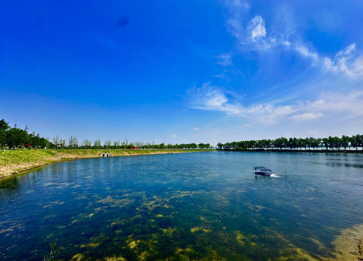 XPJ��(�й���)�ٷ���վ