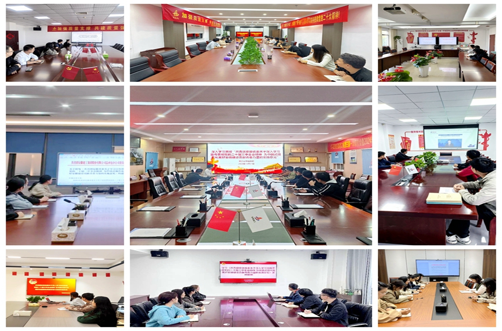 XPJ·(中国区)官方网站