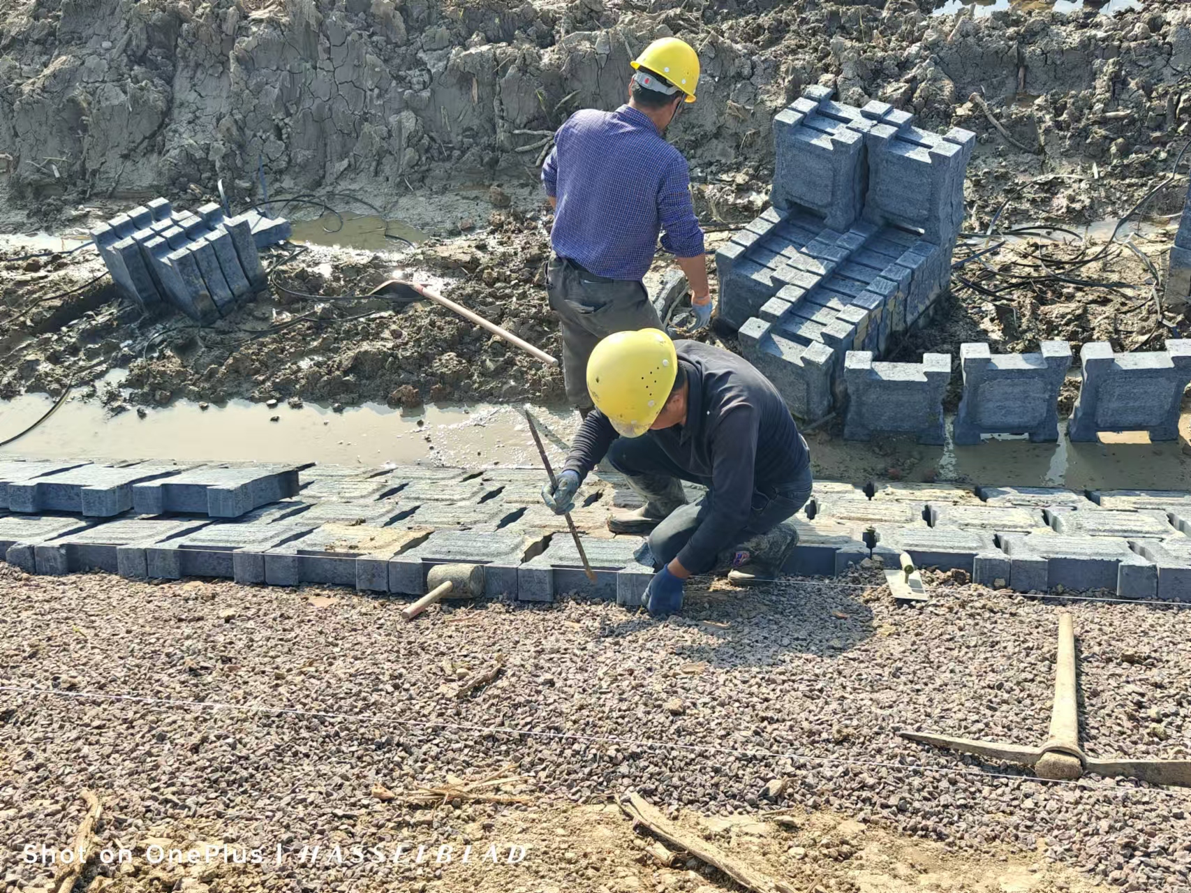 XPJ��(�й���)�ٷ���վ