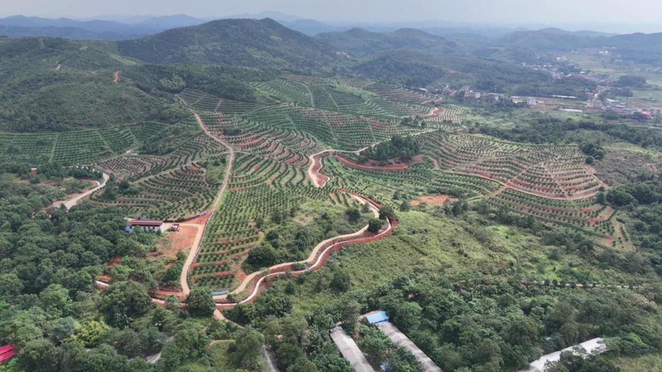 XPJ��(�й���)�ٷ���վ