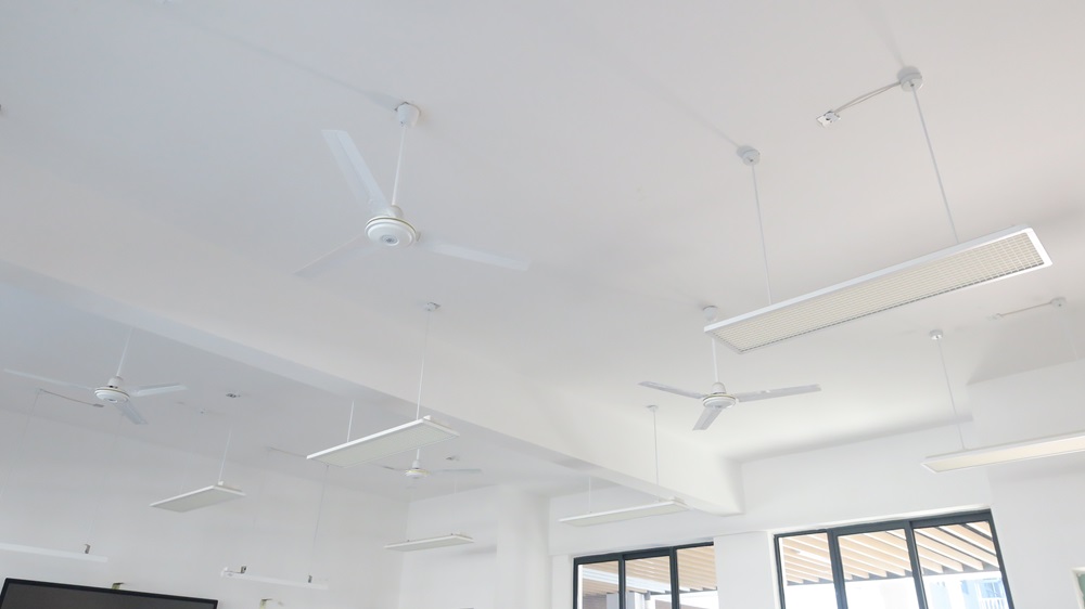 XPJ��(�й���)�ٷ���վ