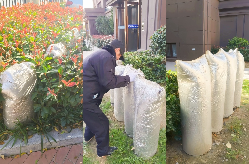 XPJ��(�й���)�ٷ���վ