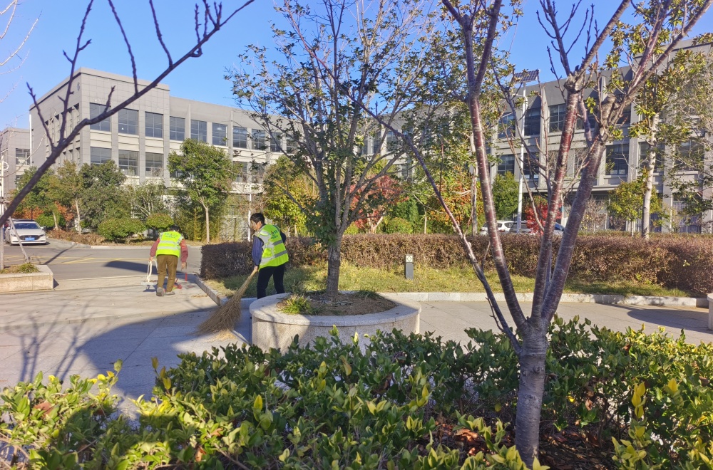 XPJ��(�й���)�ٷ���վ