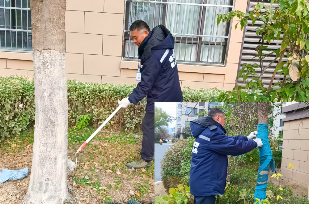 XPJ��(�й���)�ٷ���վ