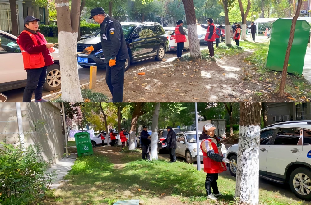 XPJ��(�й���)�ٷ���վ