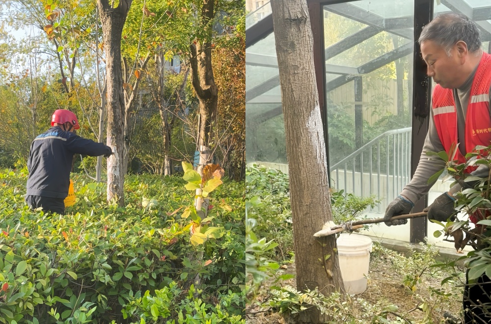 XPJ��(�й���)�ٷ���վ