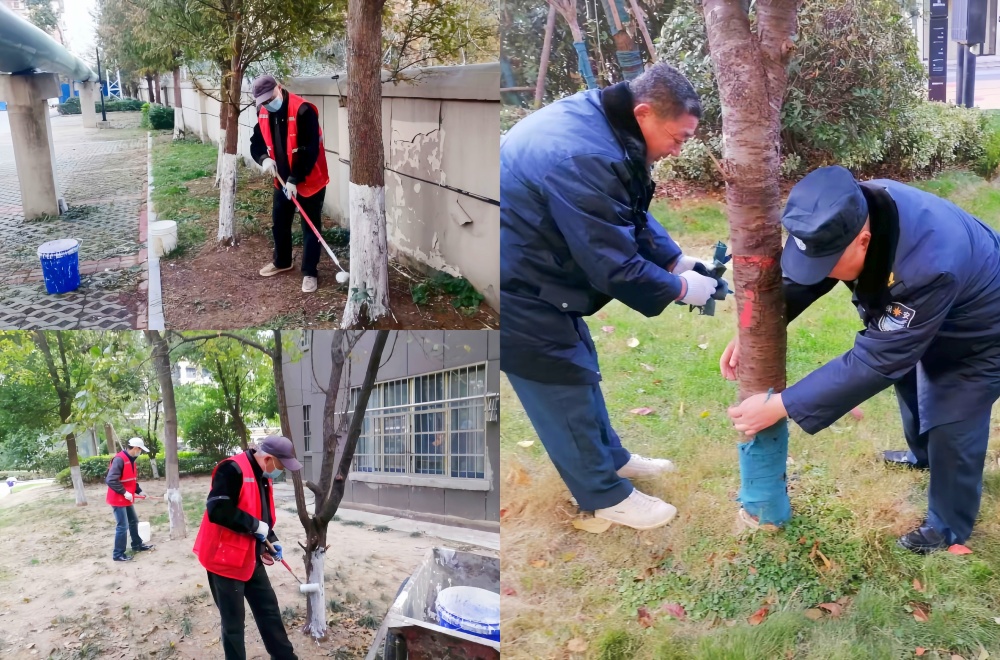 XPJ��(�й���)�ٷ���վ