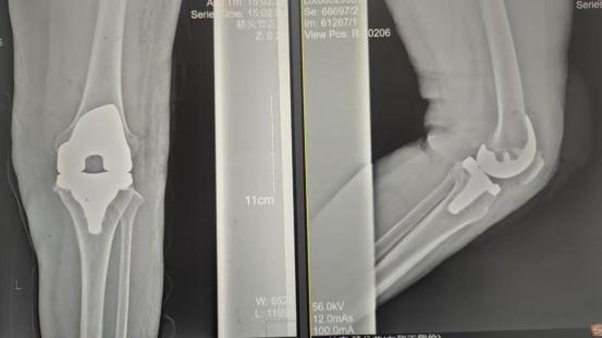 XPJ��(�й���)�ٷ���վ