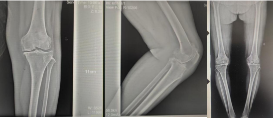 XPJ��(�й���)�ٷ���վ