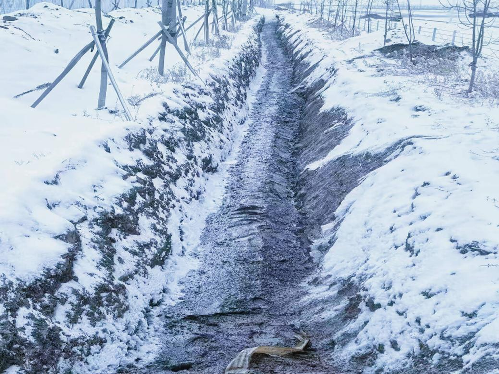 XPJ��(�й���)�ٷ���վ