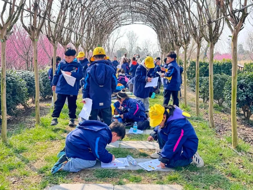 XPJ��(�й���)�ٷ���վ