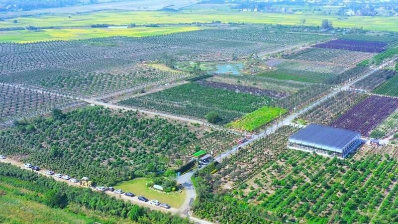 XPJ��(�й���)�ٷ���վ