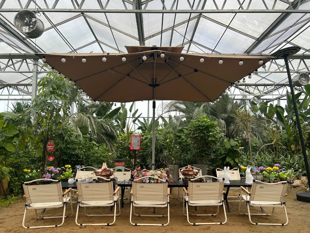 XPJ��(�й���)�ٷ���վ