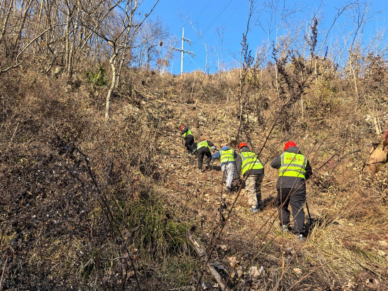 XPJ��(�й���)�ٷ���վ