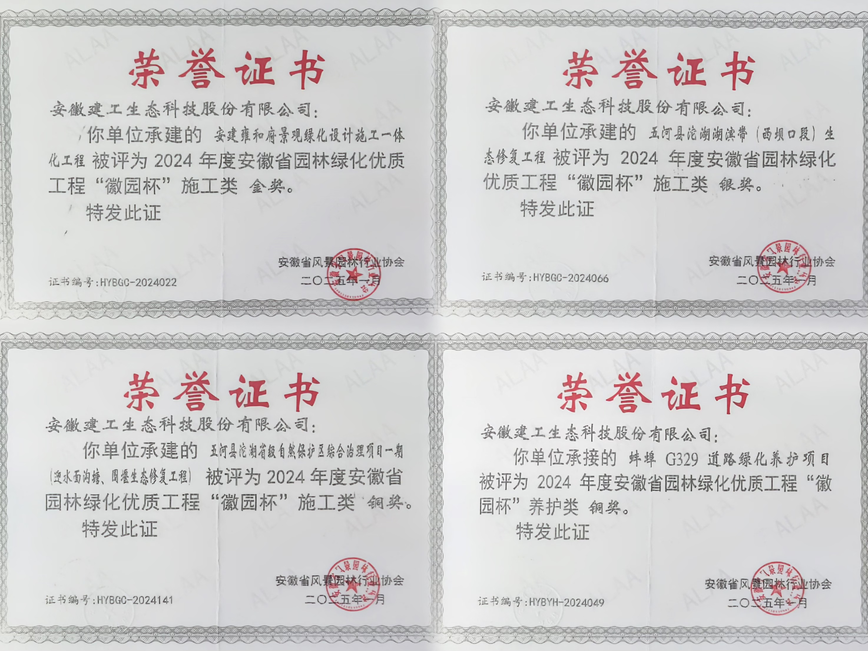 XPJ��(�й���)�ٷ���վ