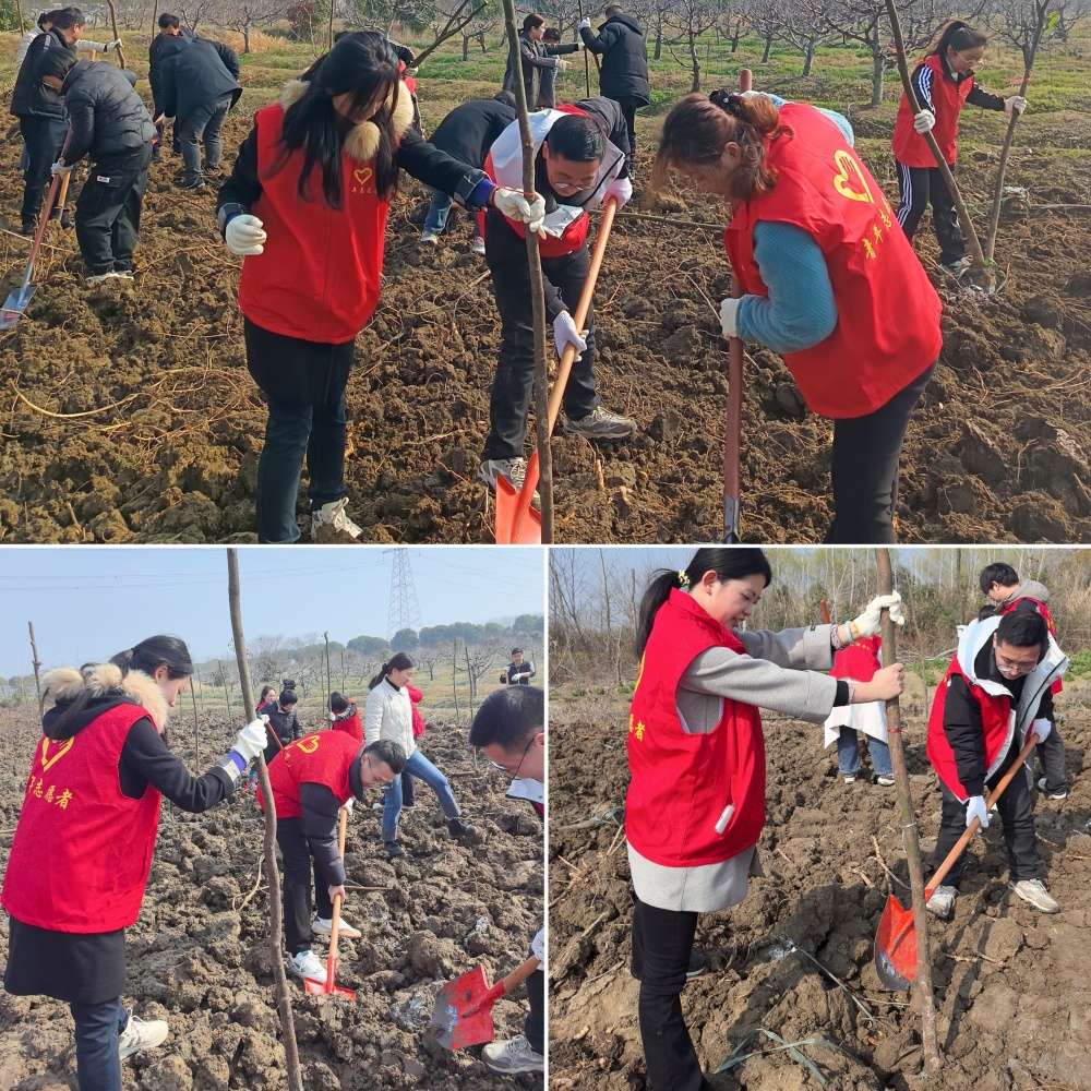 XPJ��(�й���)�ٷ���վ