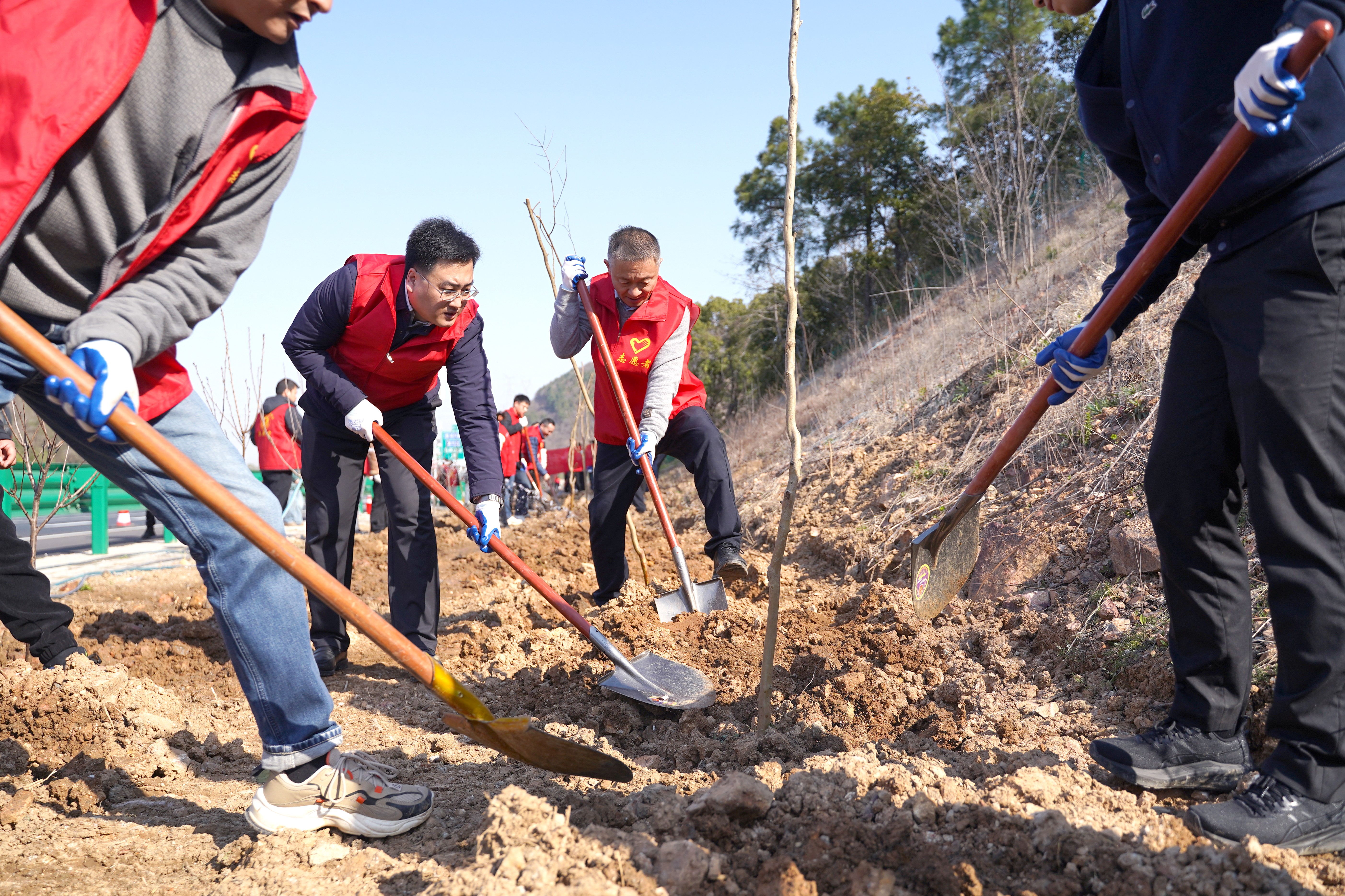 XPJ��(�й���)�ٷ���վ