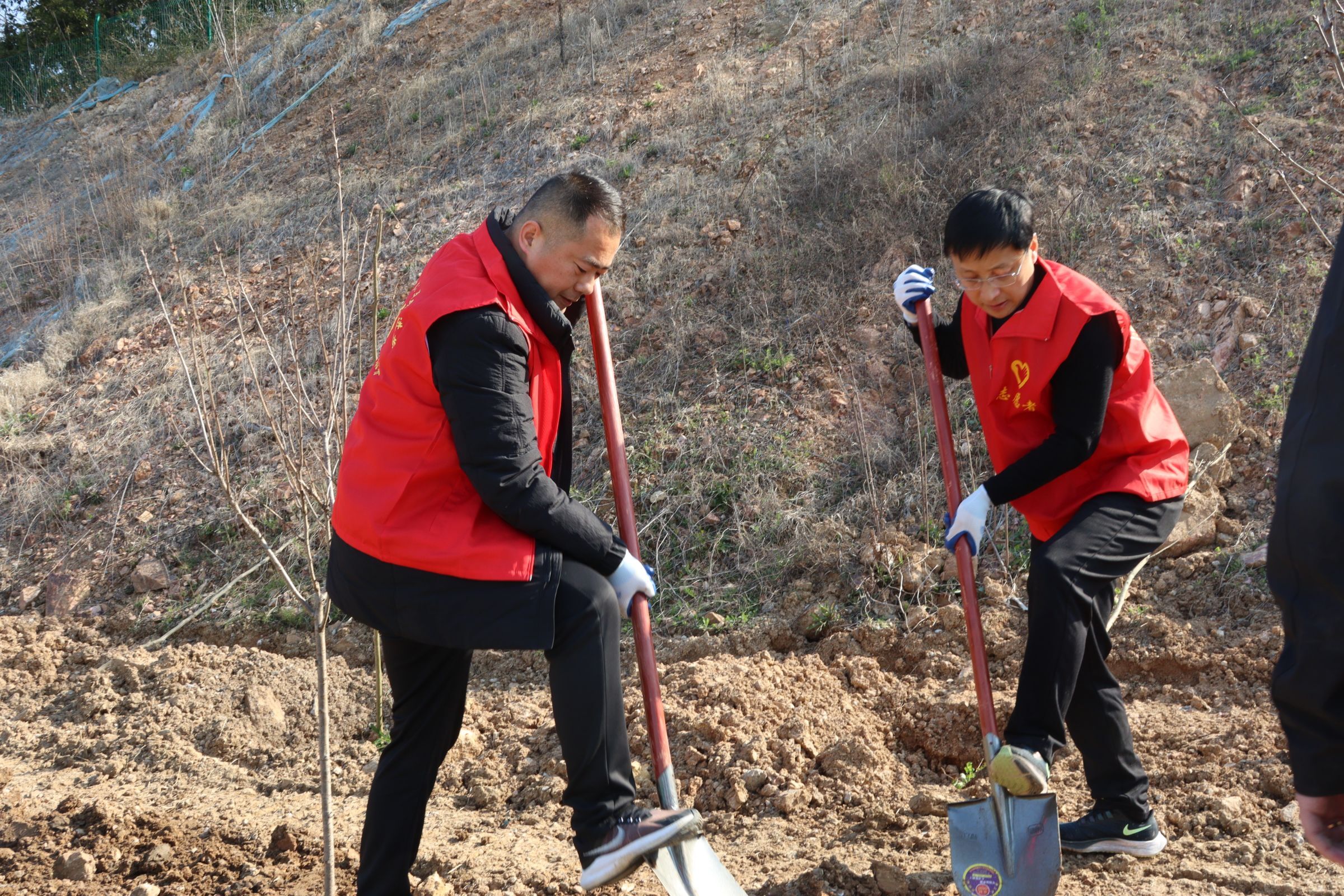 XPJ��(�й���)�ٷ���վ