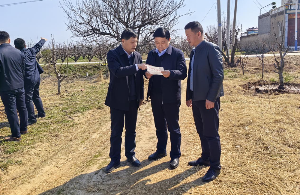 XPJ��(�й���)�ٷ���վ