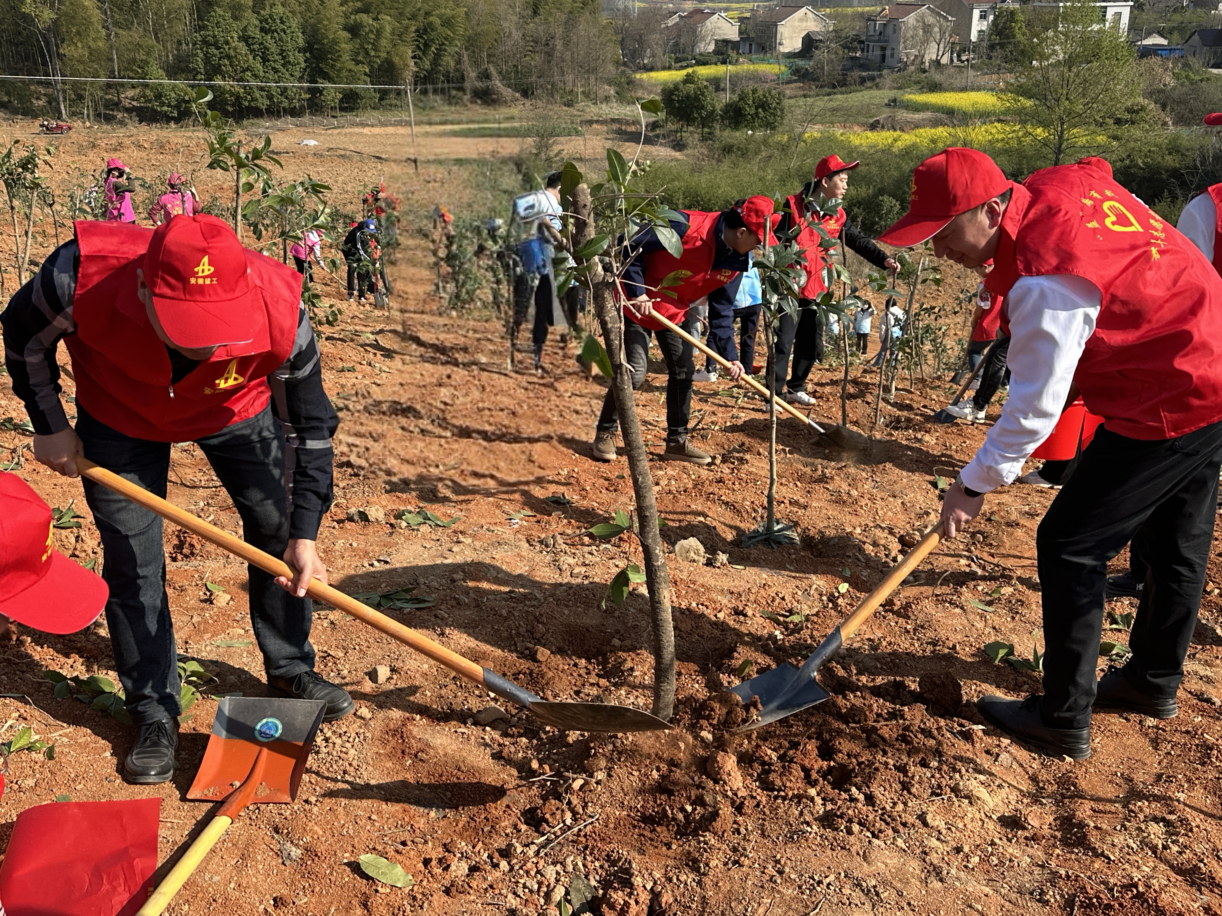 XPJ��(�й���)�ٷ���վ