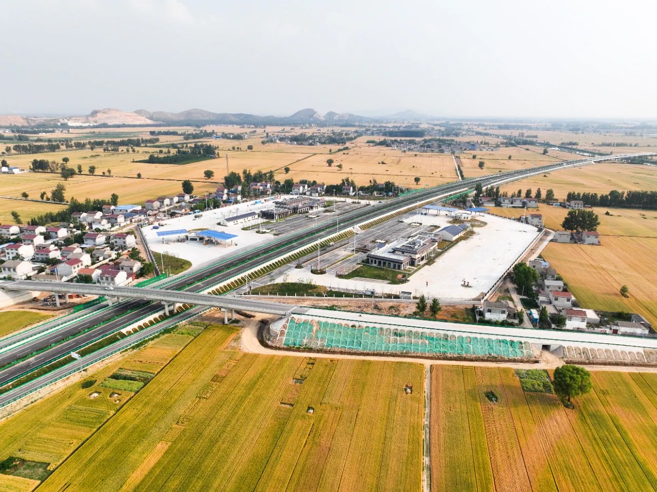 XPJ��(�й���)�ٷ���վ